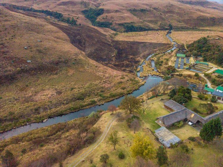 Lolambazo Country House & Cottage - Giants Castle Drakensberg Mahlutshini Eksteriør bilde